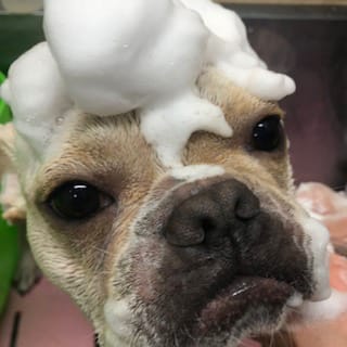 シルク泡パック